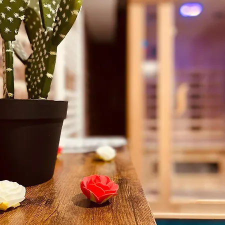 Luxe Cache Balneo Et Sauna Prives - 372 Appartement Rouen