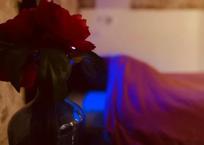 Luxe Caché Balnéo Et Sauna Privés - 372